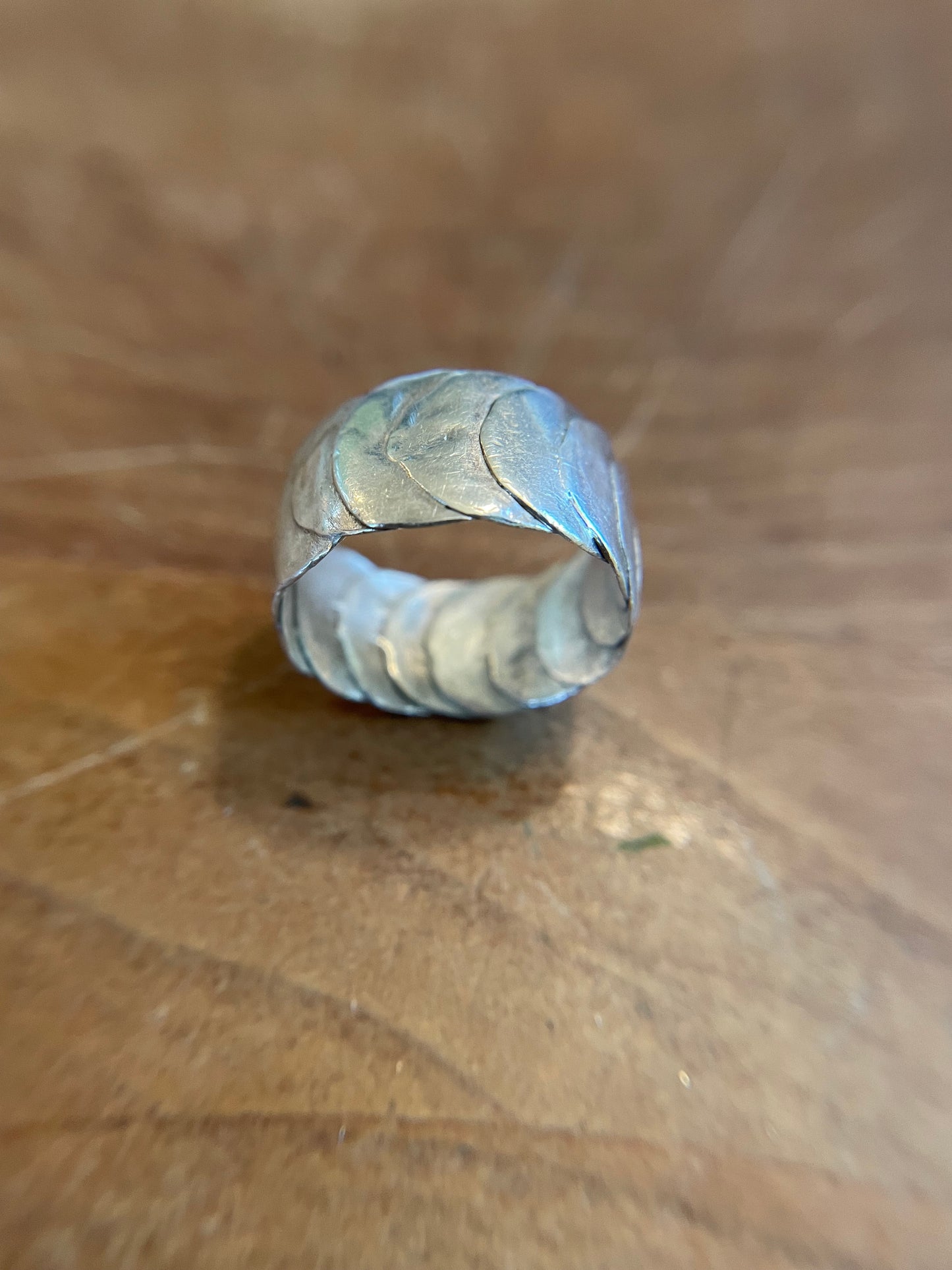 Armadillo Ring in Silver