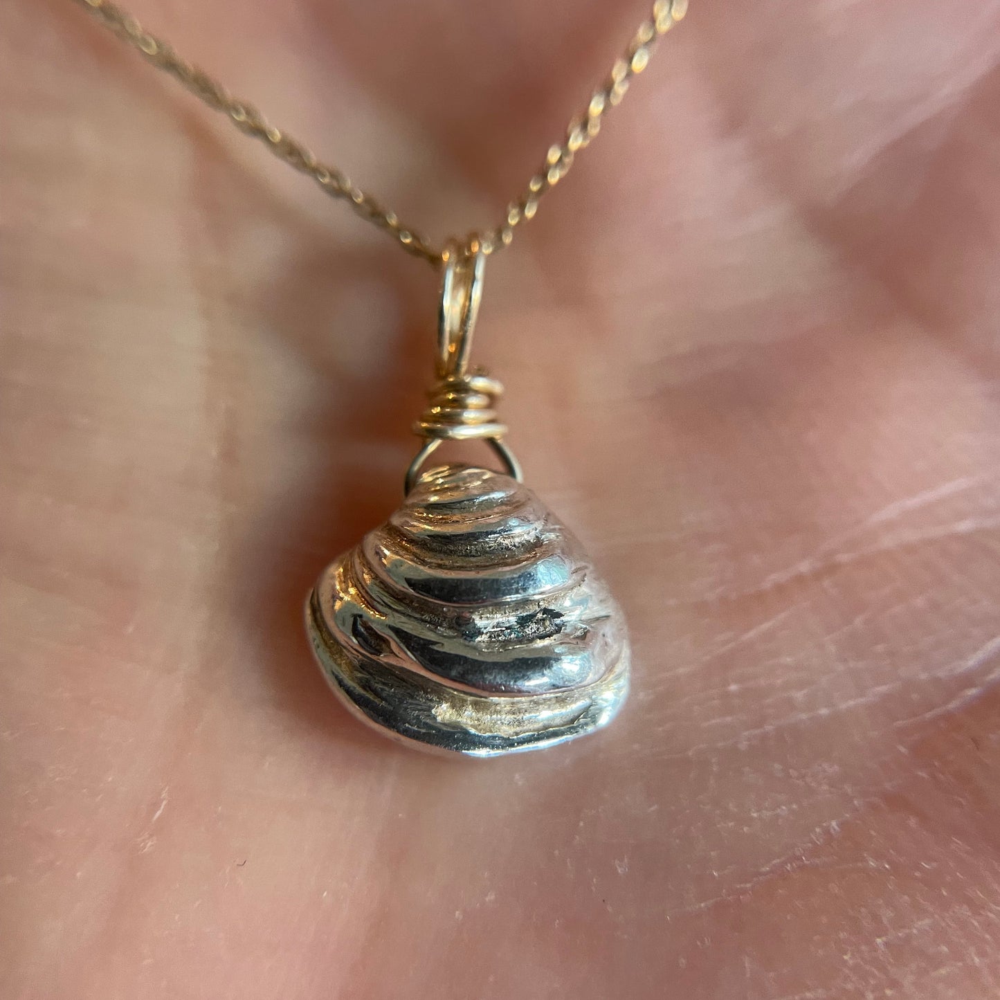Silver Seashell Necklace