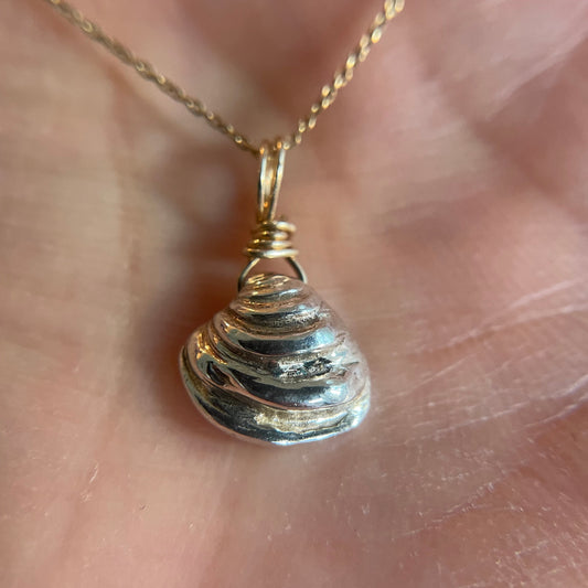 Silver Seashell Necklace