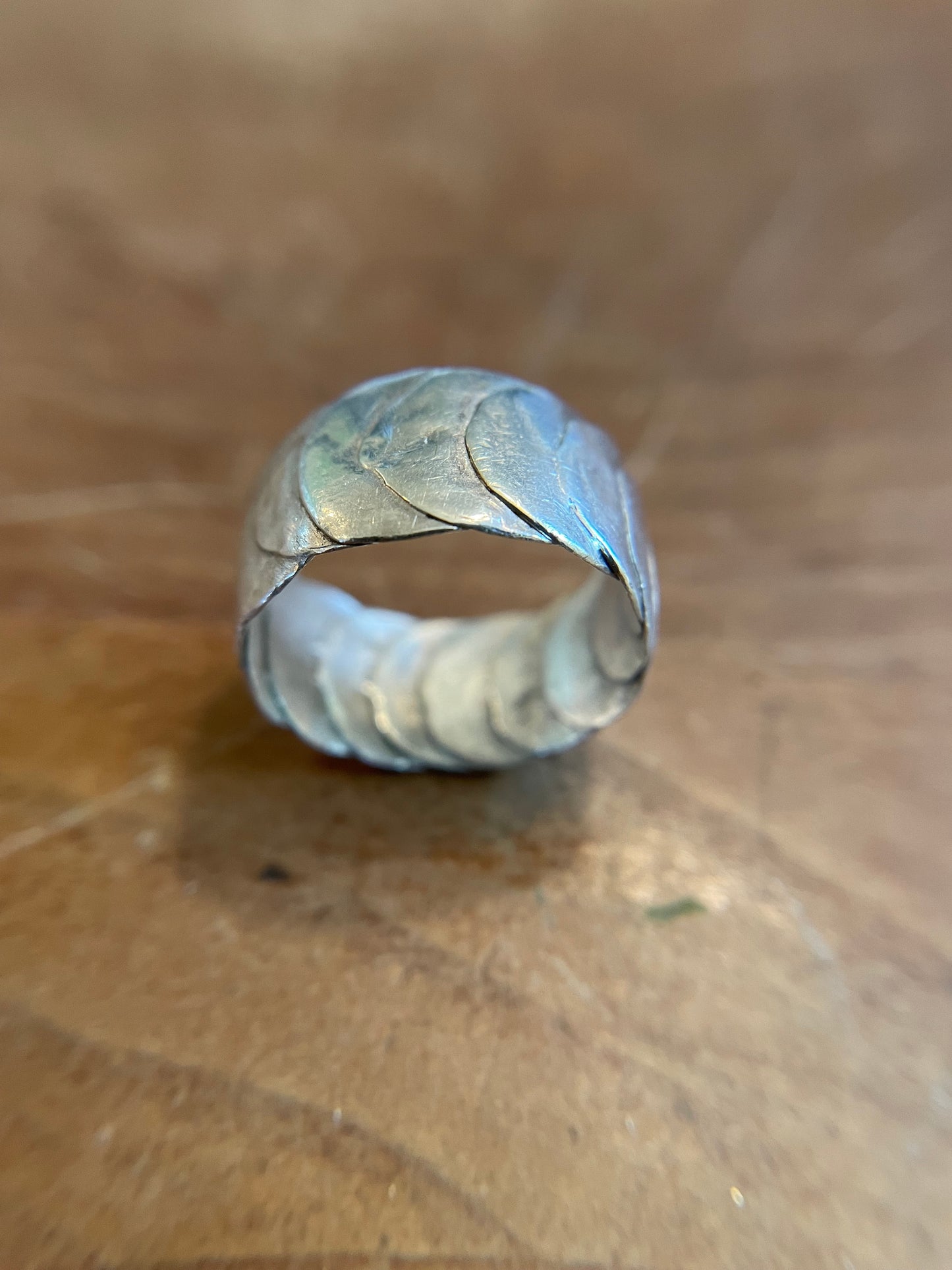 Armadillo Ring in Silver