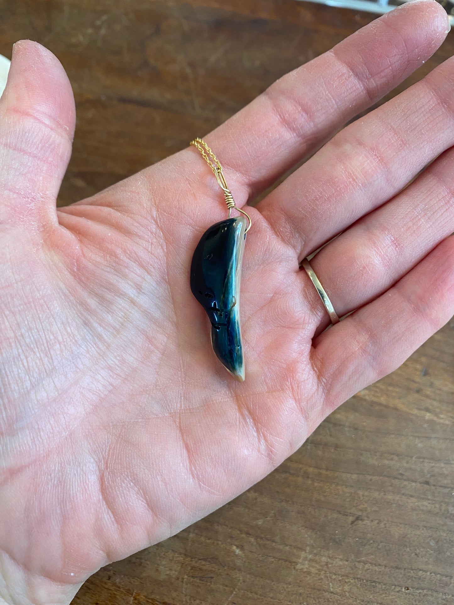 Abalone Shell - Sea Collection with 14K Gold Wire