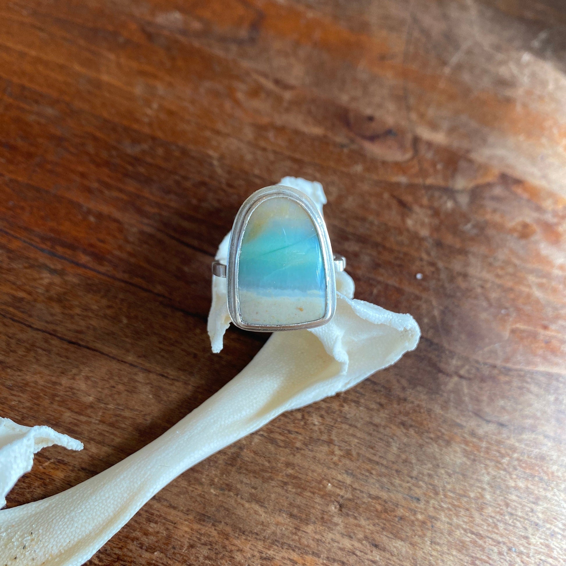 Petrified Opalwood Ring in Silver - Sea Collection