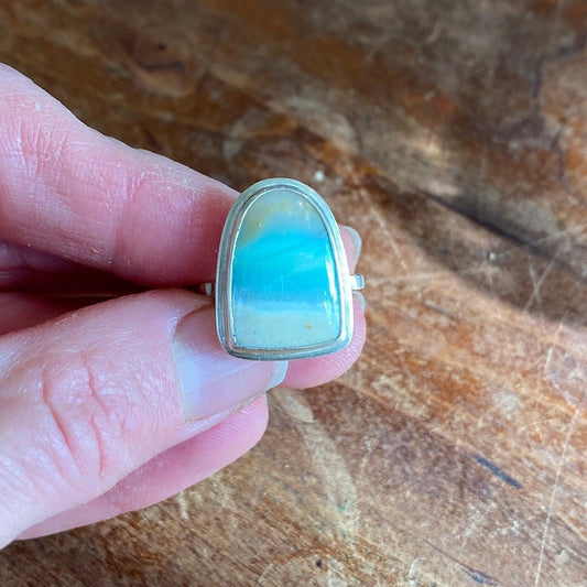 Petrified Opalwood Ring in Silver - Sea Collection