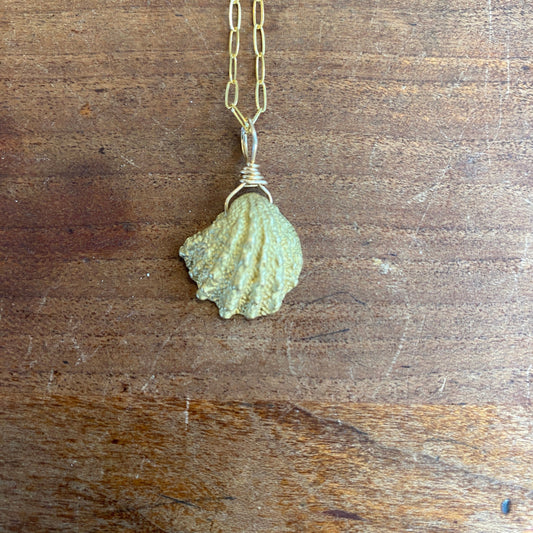 Lost Wax Cast Brass Seashell Necklace with Gold Filled Paper Clip Chain - Sea Collection
