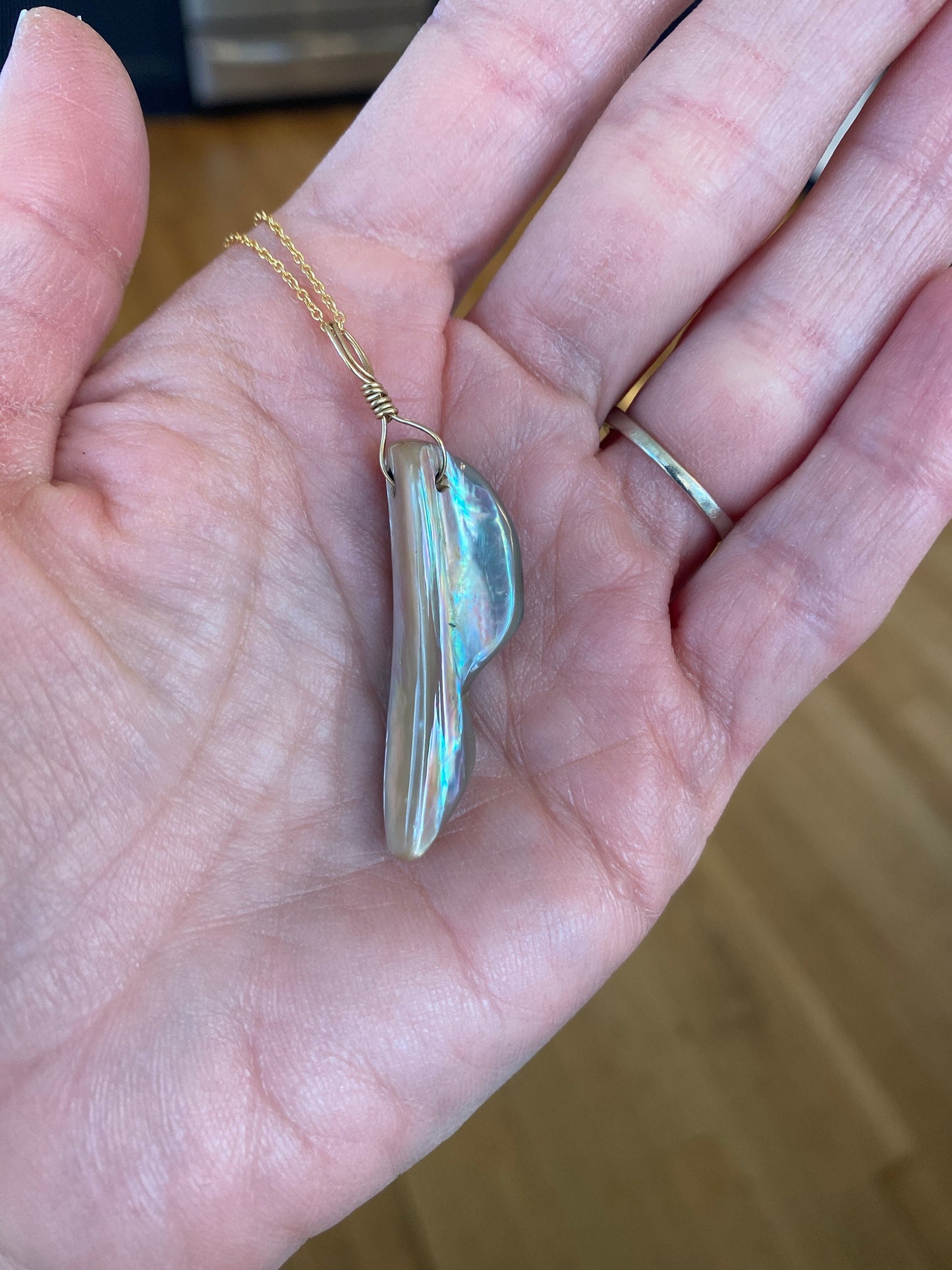 Abalone Shell - Sea Collection with 14K Gold Wire