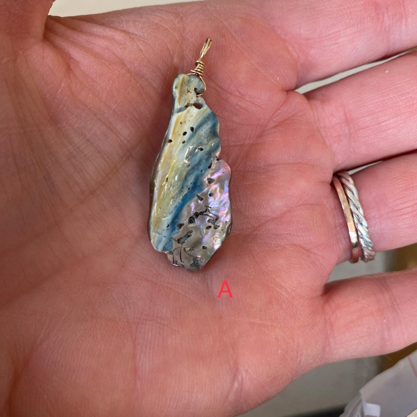 Abalone Shell - Sea Collection with 14/20 Gold-Filled Chain