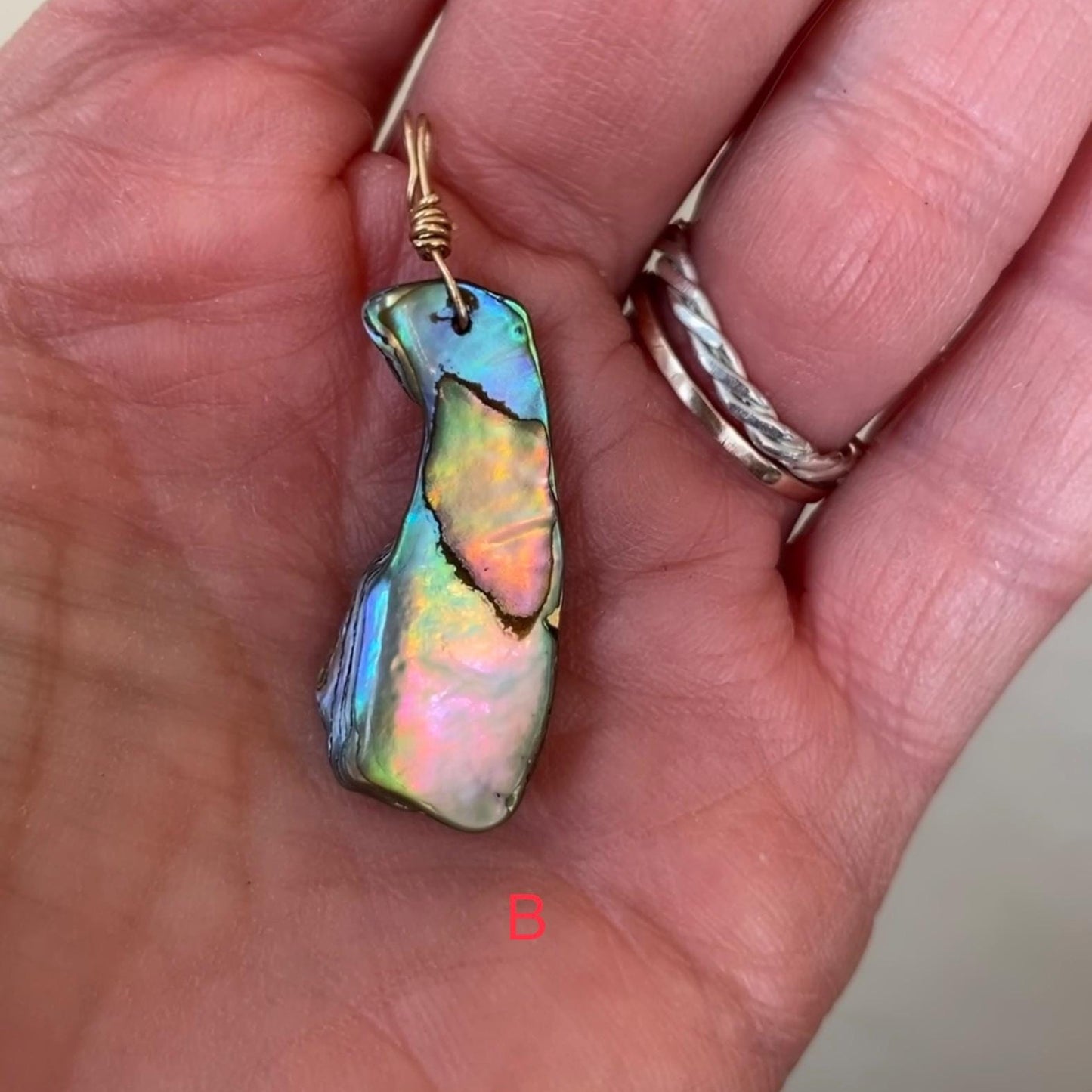 Abalone Shell - Sea Collection with 14/20 Gold-Filled Chain