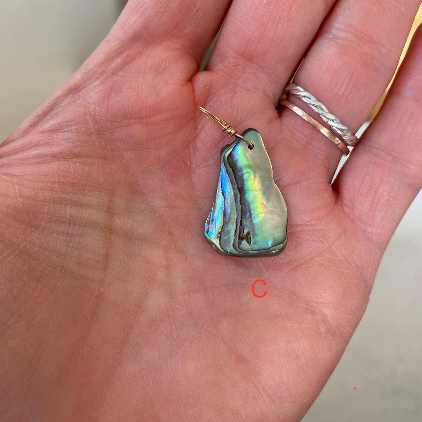 Abalone Shell - Sea Collection with 14/20 Gold-Filled Chain