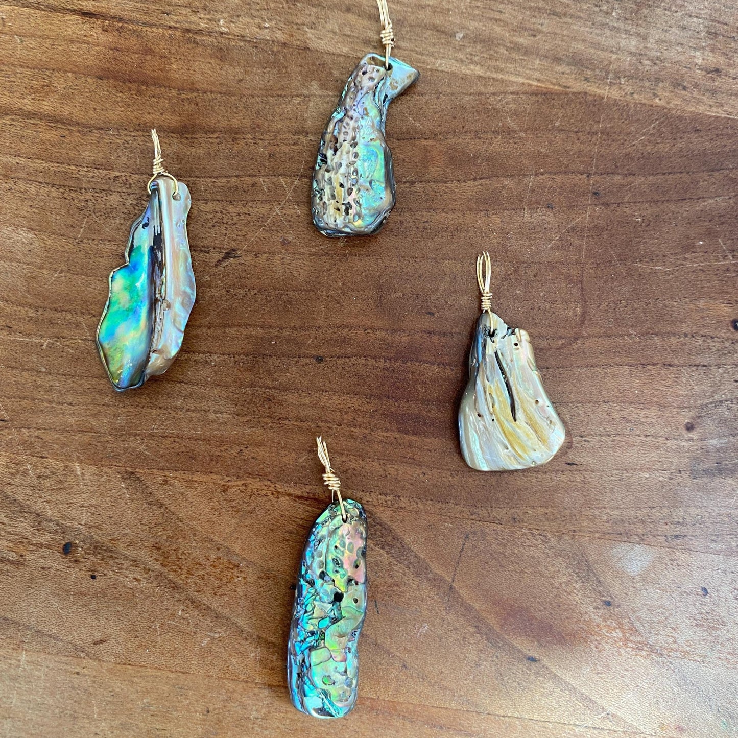 Abalone Shell - Sea Collection with 14/20 Gold-Filled Chain