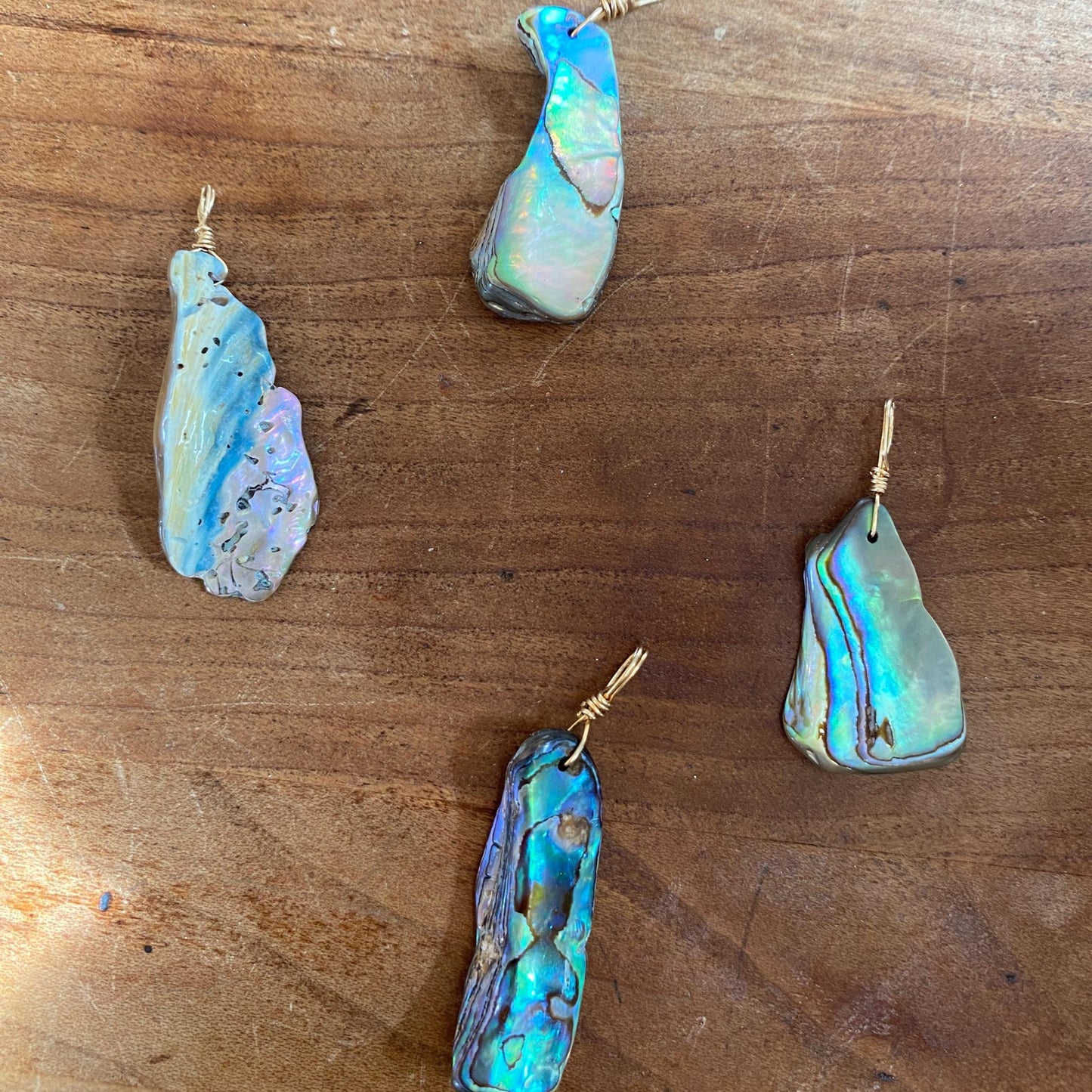 Abalone Shell - Sea Collection with 14/20 Gold-Filled Chain