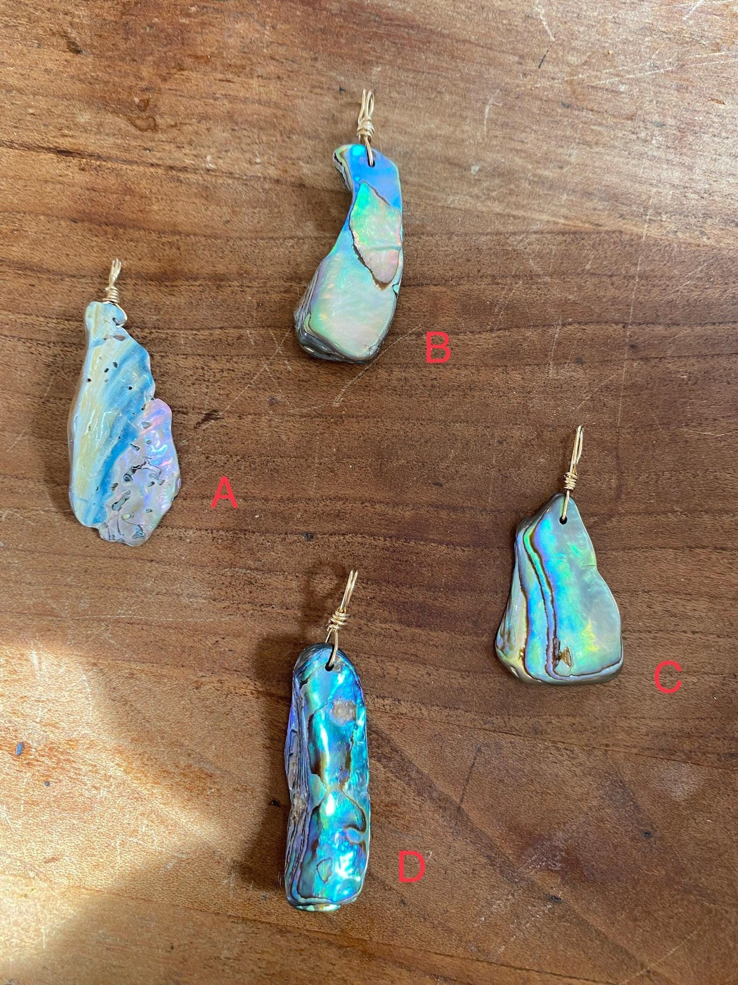 Abalone Shell - Sea Collection with 14/20 Gold-Filled Chain