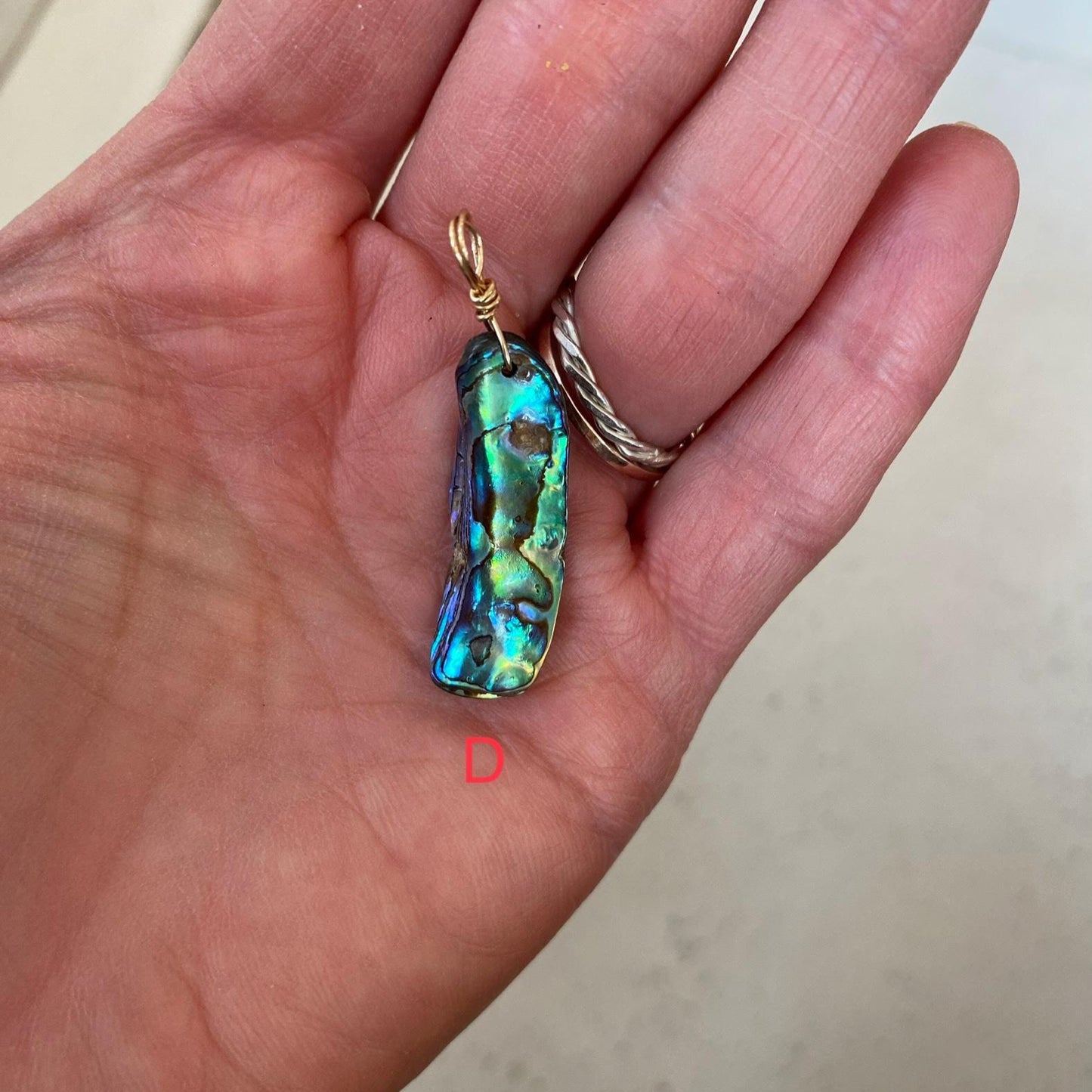 Abalone Shell - Sea Collection with 14/20 Gold-Filled Chain