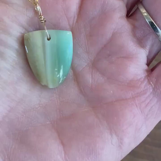 Petrified Opalwood - Sea Collection with 14/20 Gold Filled Cable Chain
