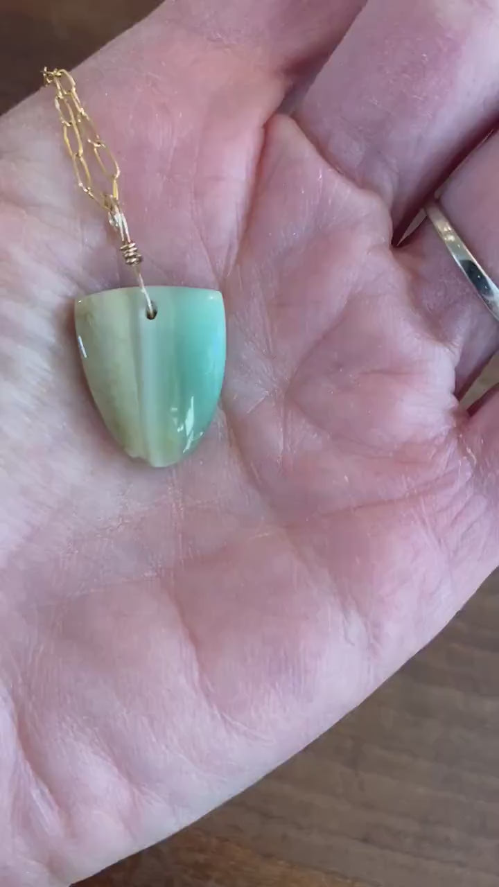 Petrified Opalwood - Sea Collection with 14/20 Gold Filled Cable Chain